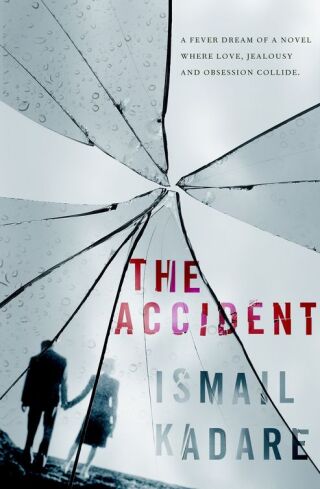 Imagen de portada: The Accident 9781847673404