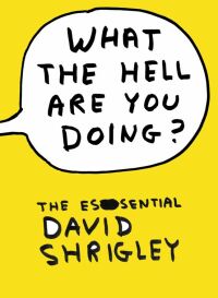 Omslagafbeelding: What The Hell Are You Doing?: The Essential David Shrigley 9781847678591