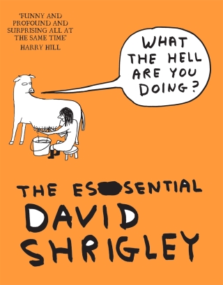 Cover image: What The Hell Are You Doing?: The Essential David Shrigley 9781847678591