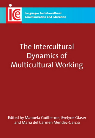Cover image: The Intercultural Dynamics of Multicultural Working 1st edition 9781847692856