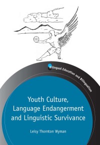 Cover image: Youth Culture, Language Endangerment and Linguistic Survivance 1st edition 9781847697394