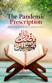 Imagen de portada: The Pandemic Prescription 9781847741585