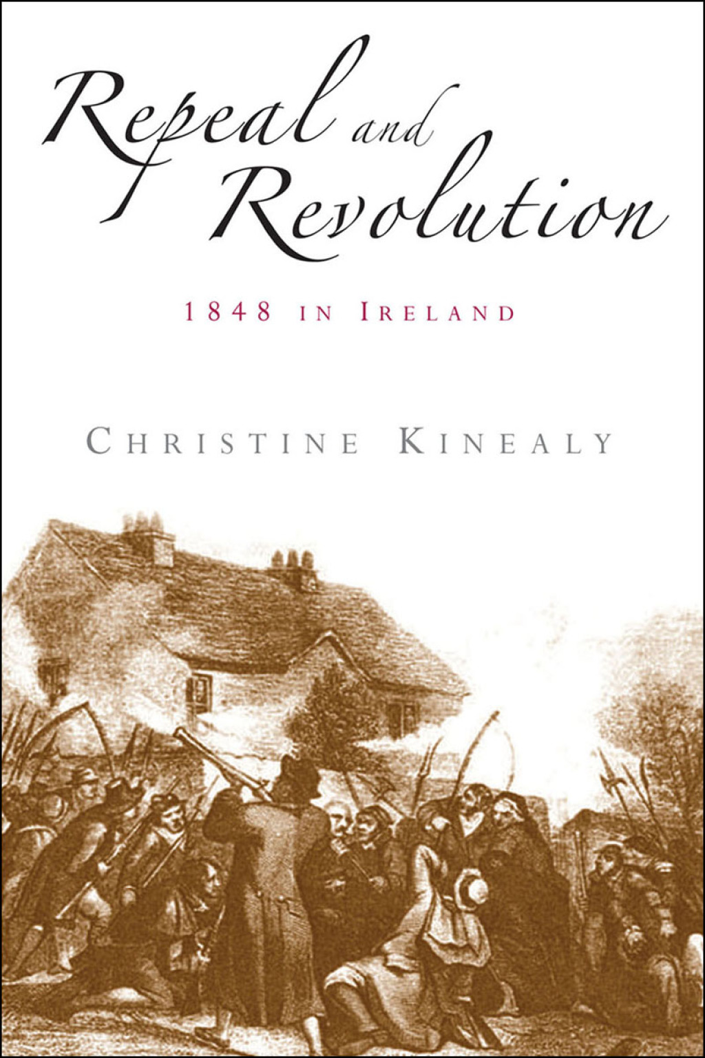 Repeal and revolution 1848 in Ireland
