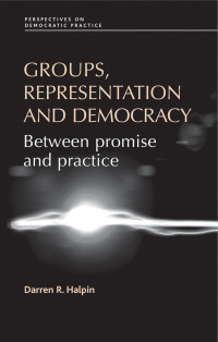 Cover image: Groups, representation and democracy 9780719076527