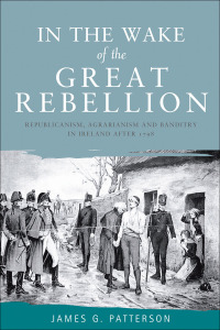 Cover image: In the wake of the great rebellion 9780719076930