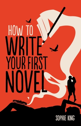 Cover image: How To Write Your First Novel 9781848034693