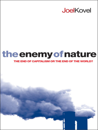 Cover image: The Enemy of Nature 2nd edition 9781842778708