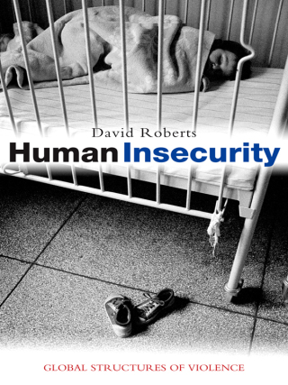Imagen de portada: Human Insecurity 1st edition 9781842778241