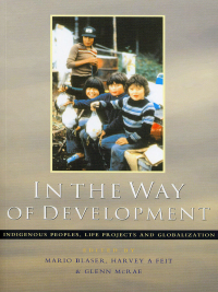 Immagine di copertina: In the Way of Development 1st edition 9781842771921