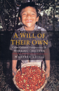 Cover image: A Will of Their Own 1st edition 9781842773482