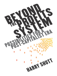 صورة الغلاف: Beyond the Profits System 1st edition 9781848134164
