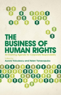 Cover image: The Business of Human Rights 1st edition 9781848138629