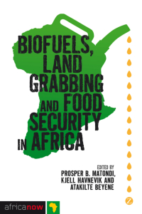 Imagen de portada: Biofuels, Land Grabbing and Food Security in Africa 1st edition 9781848138780