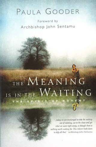 Cover image: The Meaning is in the Waiting 9781853119088