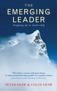 Cover image: The Emerging Leader 9781848253292