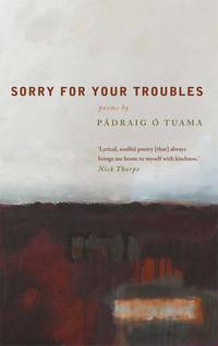 Cover image: Sorry For Your Troubles 9781848254626