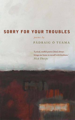 Titelbild: Sorry For Your Troubles 9781848254626