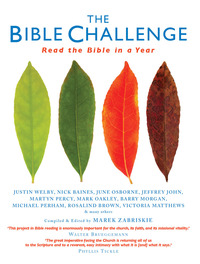 Titelbild: The Bible Challenge 9781848252912