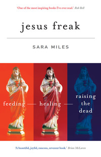 Cover image: Jesus Freak 9781848251236