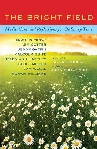 Cover image: The Bright Field 9781848256125