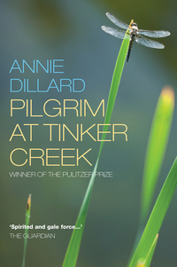 Cover image: Pilgrim at Tinker Creek 9781848250789