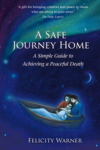 Cover image: A Safe Journey Home 9781848502079