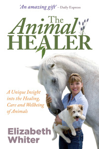 Cover image: The Animal Healer 9781848501904