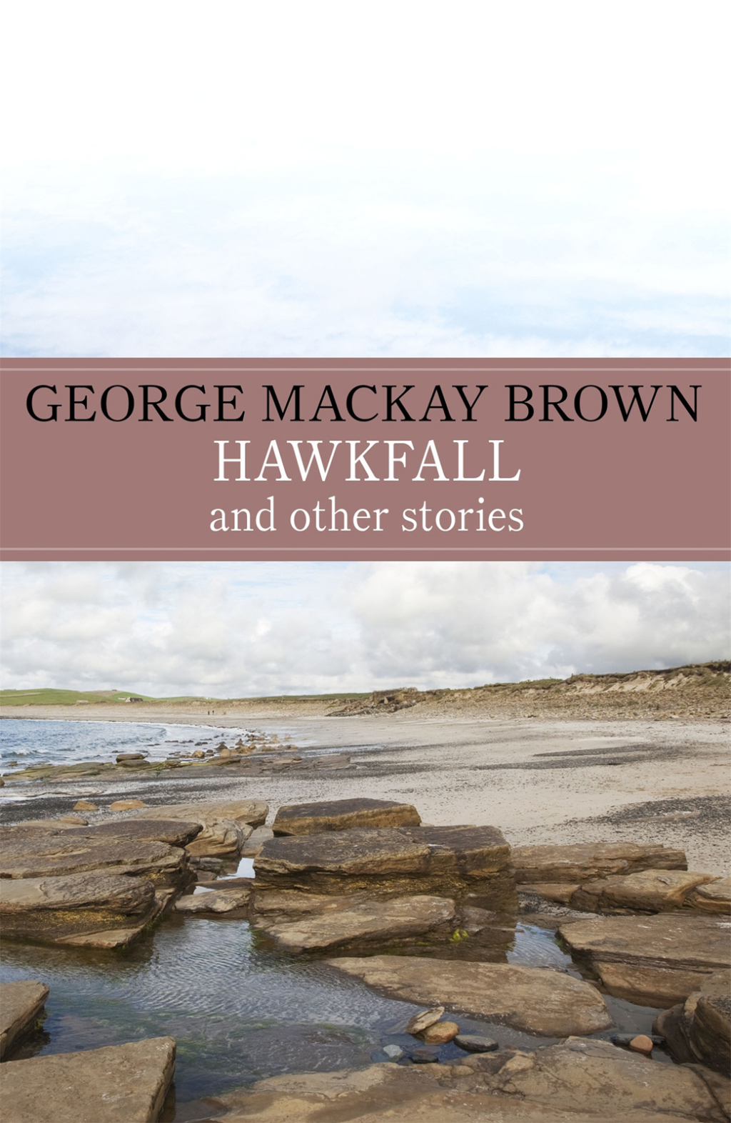 Hawkfall (eBook)