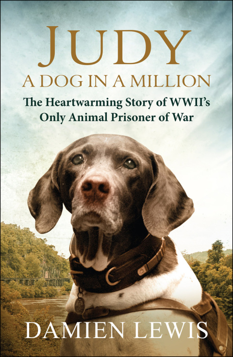 Judy: A Dog in a Million: From Runaway Puppy to the World's Most Heroic Dog - FULL INSTANT DOWNLOAD | PDF DOCX EPUB