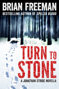 Cover image: Turn to Stone 9781848669109