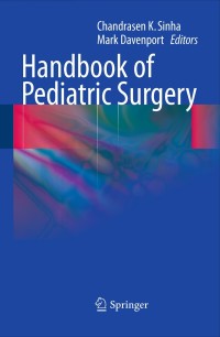 Imagen de portada: Handbook of Pediatric Surgery 1st edition 9781848821316