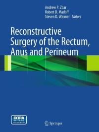 Cover image: Reconstructive Surgery of the Rectum, Anus and Perineum 9781848824126