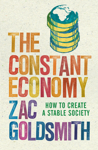 Imagen de portada: The Constant Economy 1st edition 9781848870956