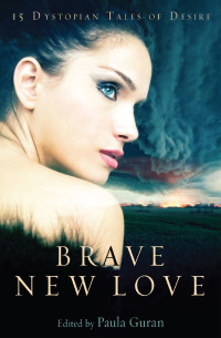 Cover image: Brave New Love 9781849016018
