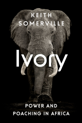 Imagen de portada: Ivory 9781787382220