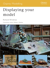 Cover image: Displaying your model 1st edition 9781846034169
