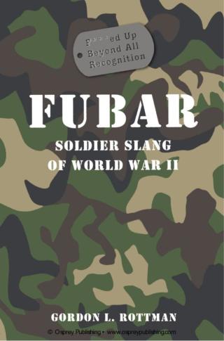 Titelbild: FUBAR F***ed Up Beyond All Recognition 1st edition 9781849081375
