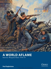 Immagine di copertina: A World Aflame 1st edition 9781849086820