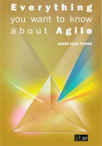Cover image: Everything you want to know about Agile: How to get Agile results in a less-than-agile organization 1st edition 9781849283236