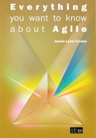 表紙画像: Everything you want to know about Agile: How to get Agile results in a less-than-agile organization 1st edition 9781849283236