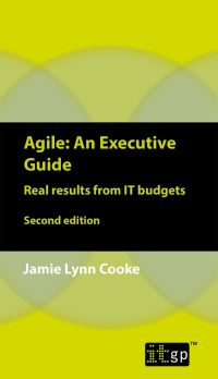 Cover image: Agile: An Executive Guide: Real results from IT budgets 2nd edition 9781849287951