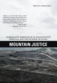 Cover image: Mountain Justice 9781849350235