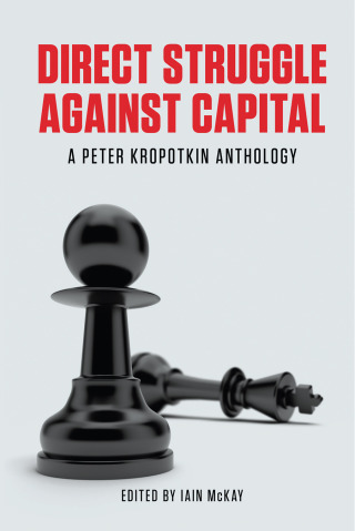 Cover image: Direct Struggle Against Capital 9781849351706