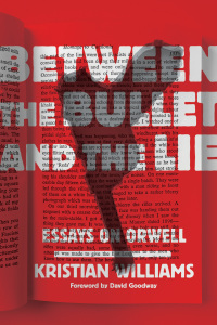 Imagen de portada: Between the Bullet and the Lie 9781849352901