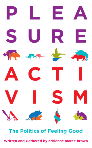 Cover image: Pleasure Activism 9781849353267