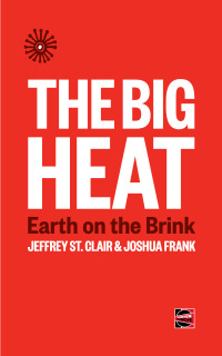 Cover image: The Big Heat 9781849353366
