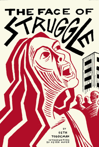 Cover image: The Face of Struggle 9781849353779