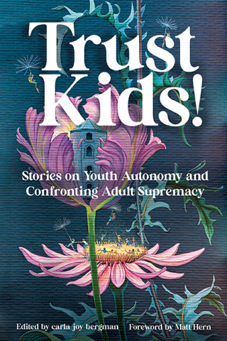 表紙画像: Trust Kids! 9781849353854
