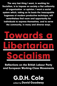 Cover image: Towards A Libertarian Socialism 9781849353892