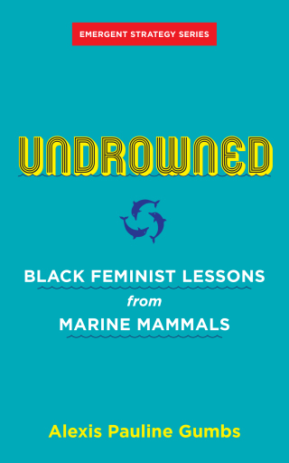 Cover image: Undrowned 9781849353977